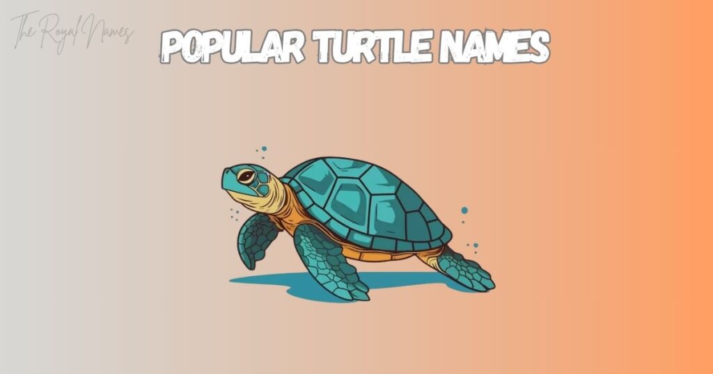 Popular Turtle Names
