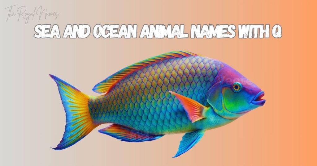 Sea and Ocean Animal Names With Q