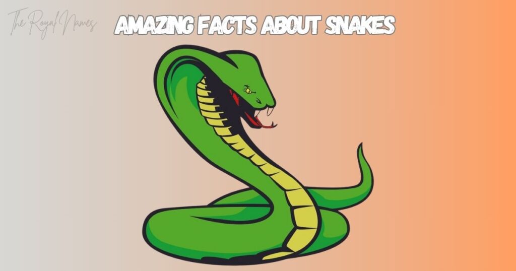 Snake Names A-Z 