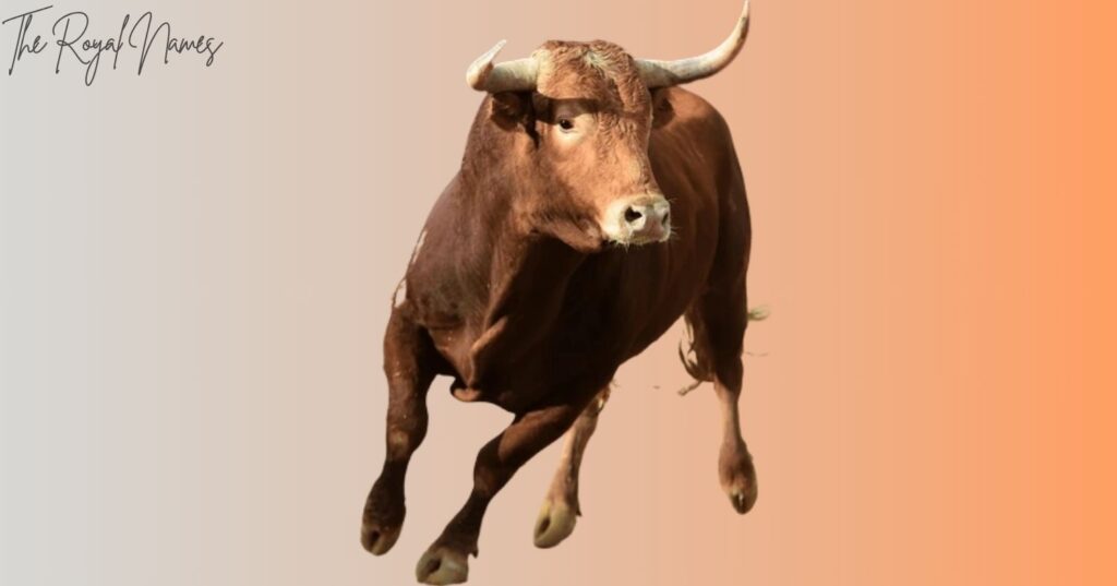 Strong Bull Names