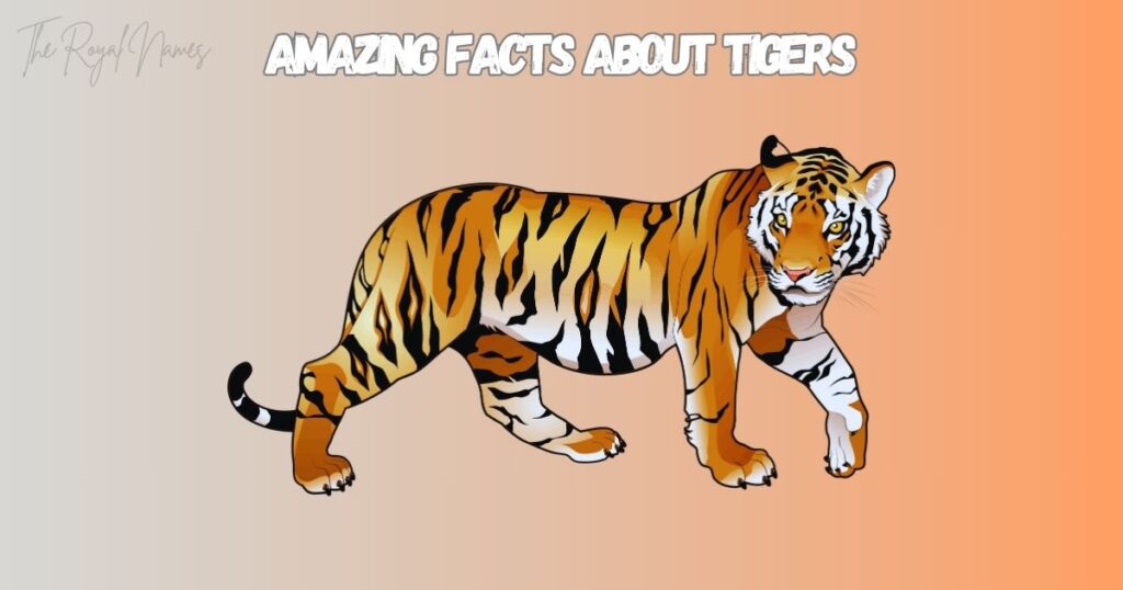Tiger Names A-Z 