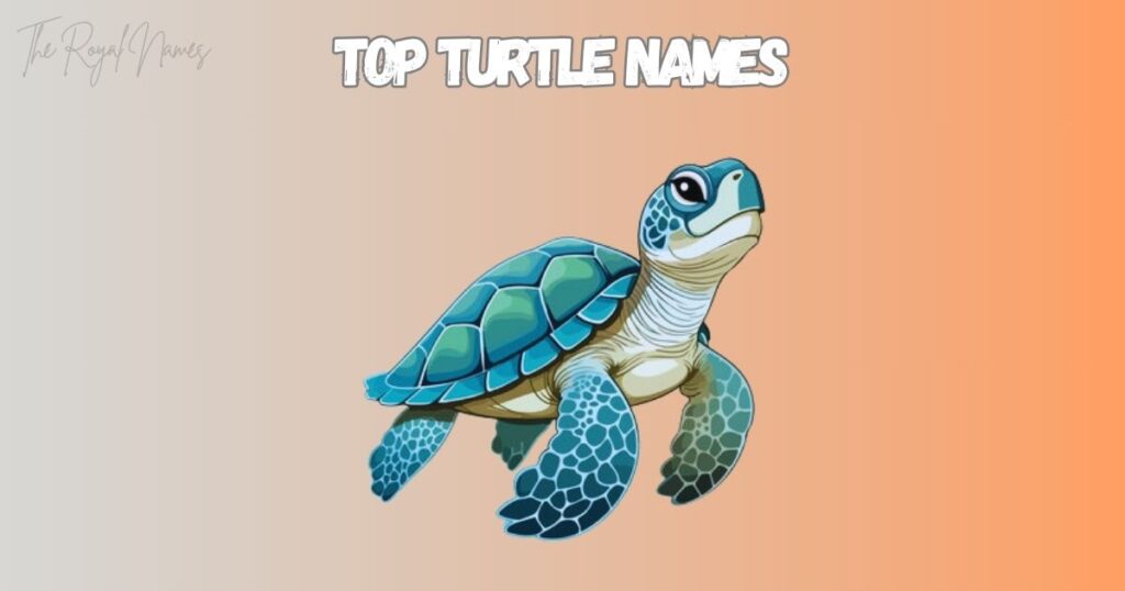 Top Turtle Names