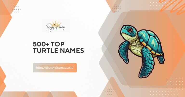 Turtle Names