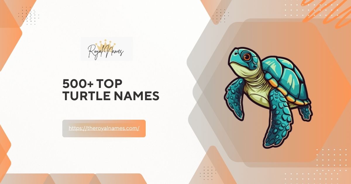 Turtle Names