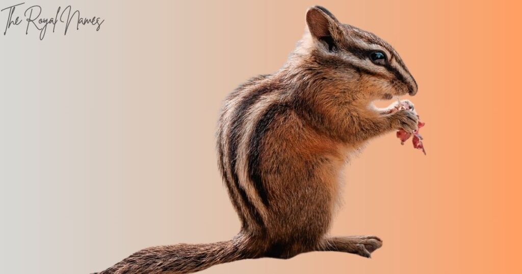 Unique Chipmunk Names