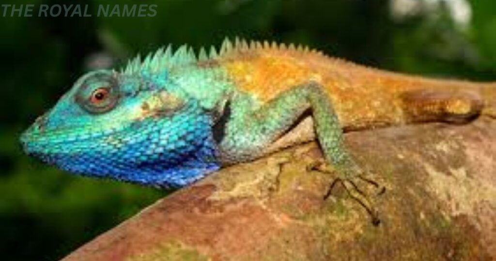 Unique Lizard Names