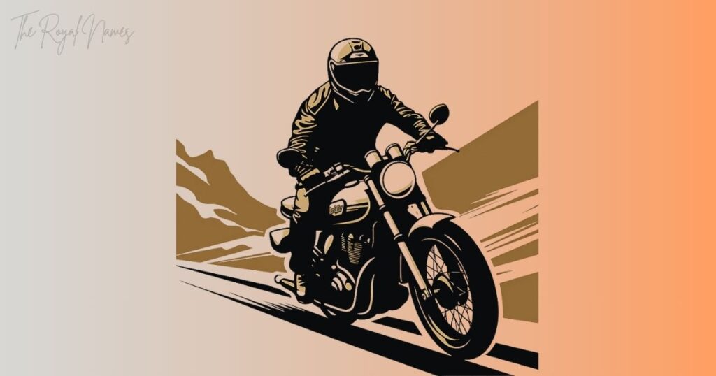 Amazing Facts About Bikers