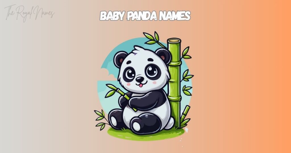 Baby Panda Names