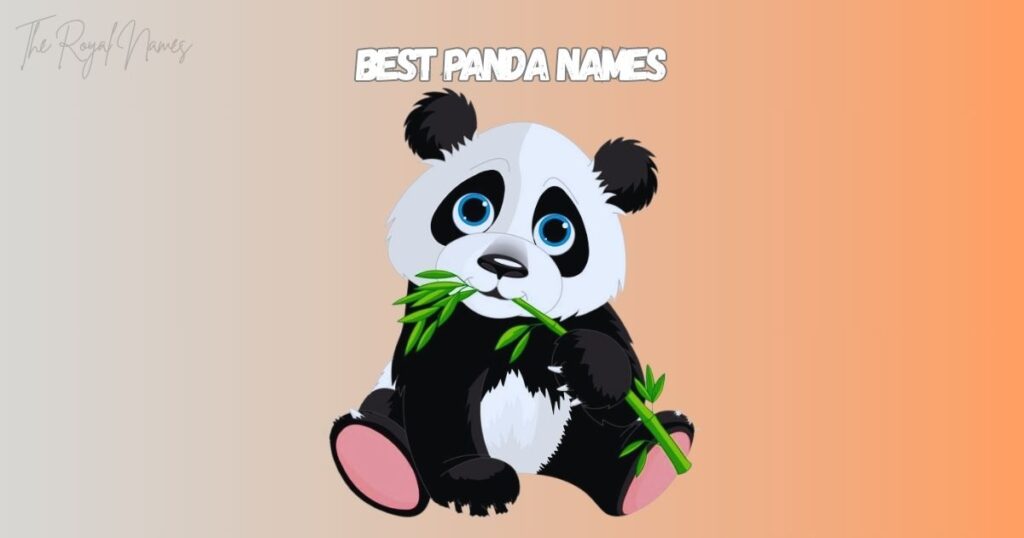 Best Panda Names