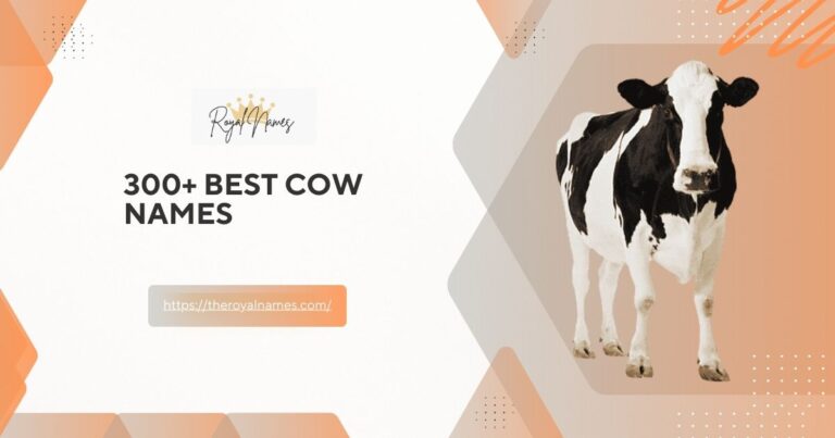 Cow Names