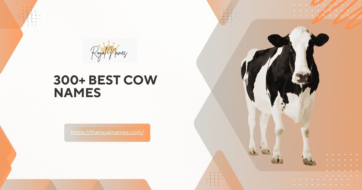 Cow Names
