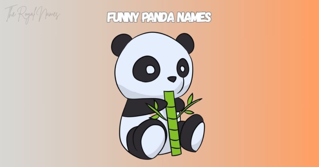Funny Panda Names