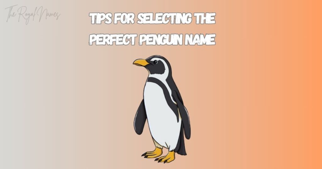 Madagascar Penguin Names