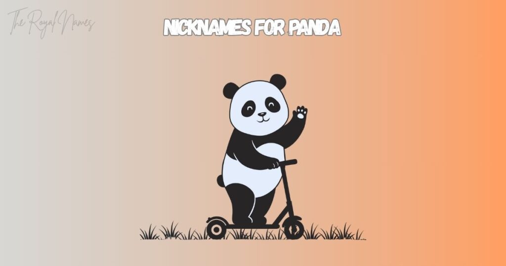 Nicknames For Panda