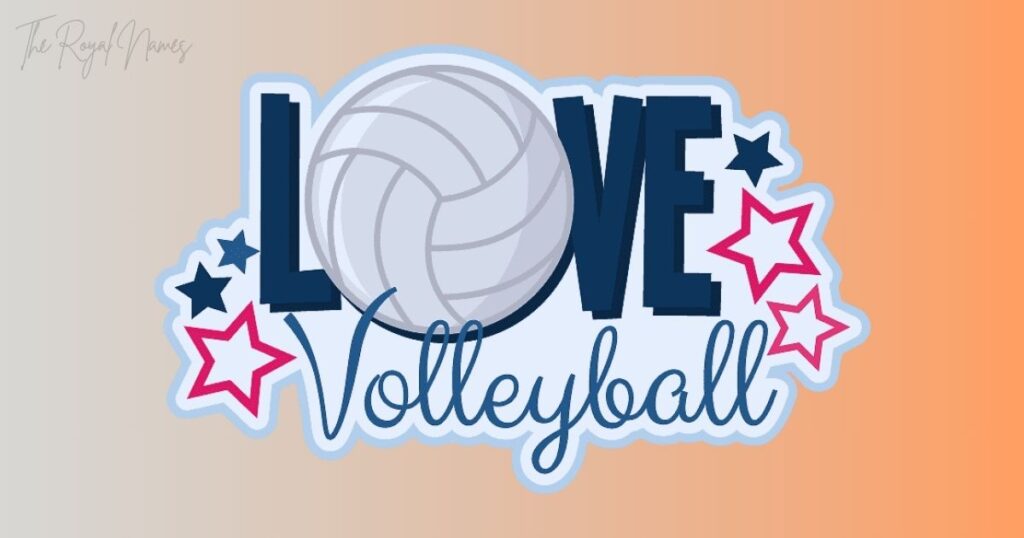 One Word Volleyball Team Names