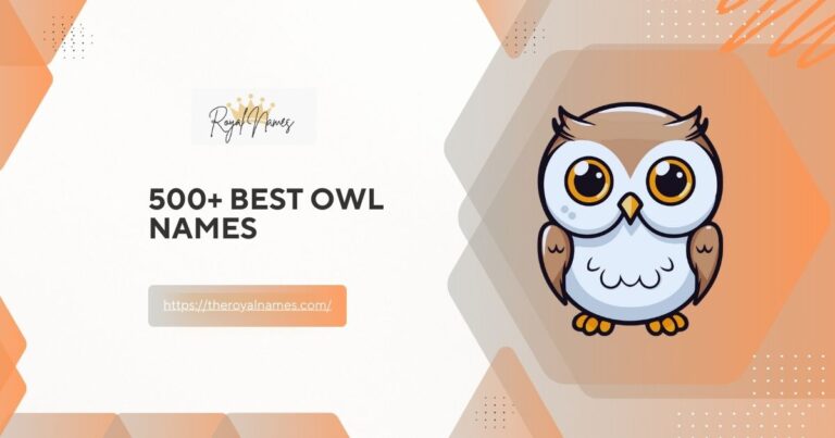 Owl Names