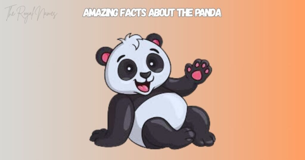 Panda Names A-Z 
