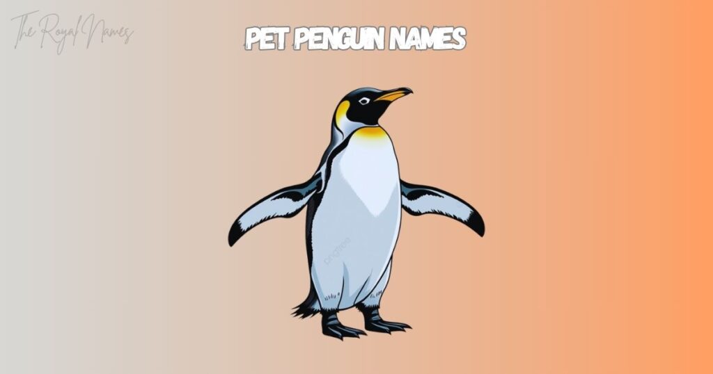 Pet Penguin Names