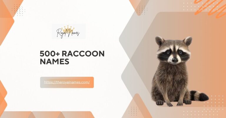 Raccoon Names
