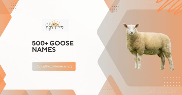 Sheep Names