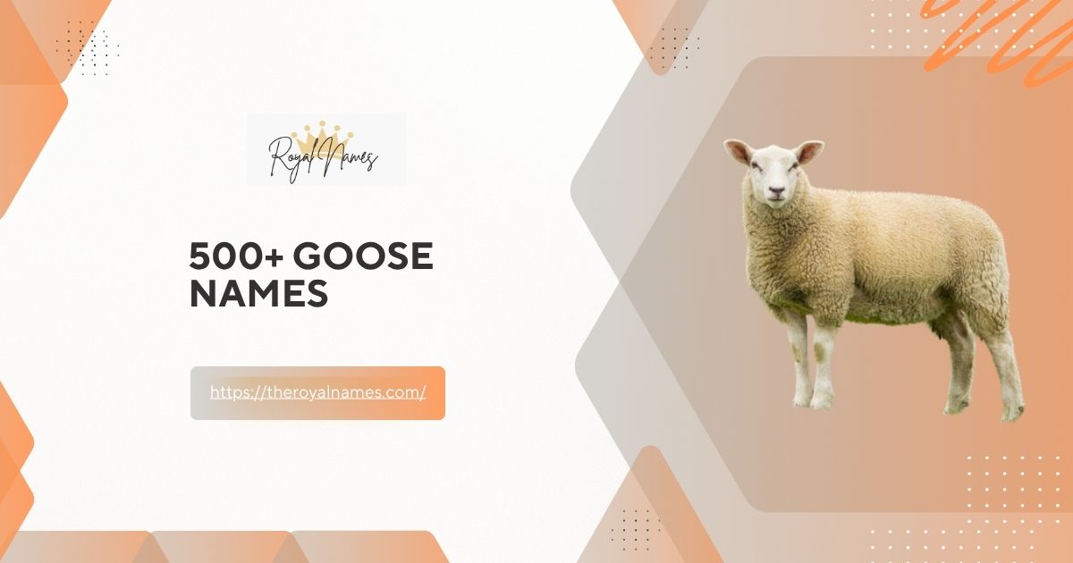Sheep Names