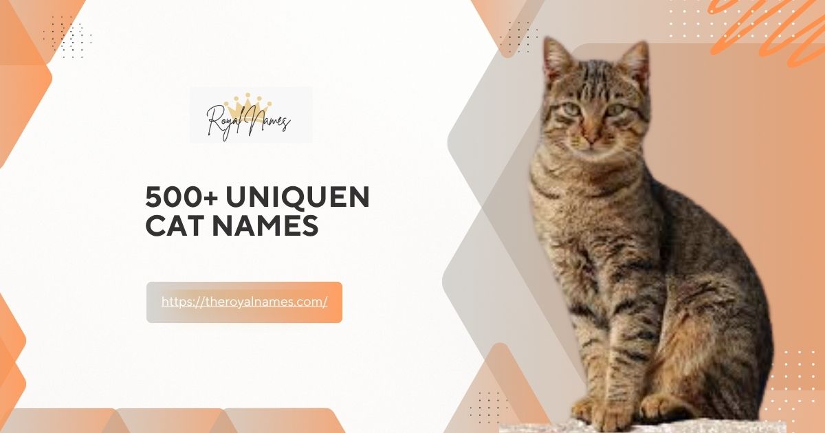 Unique Cat Names