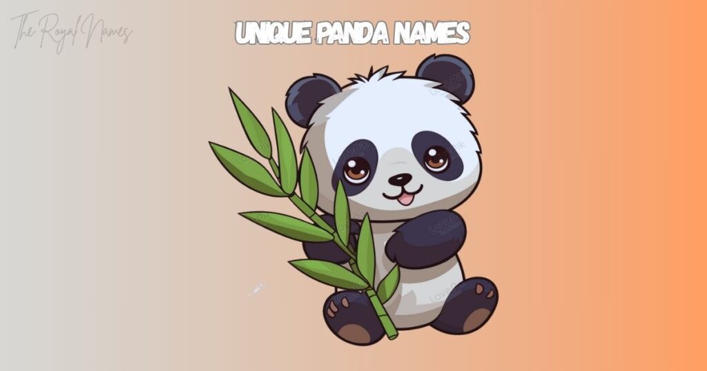 Unique Panda Names