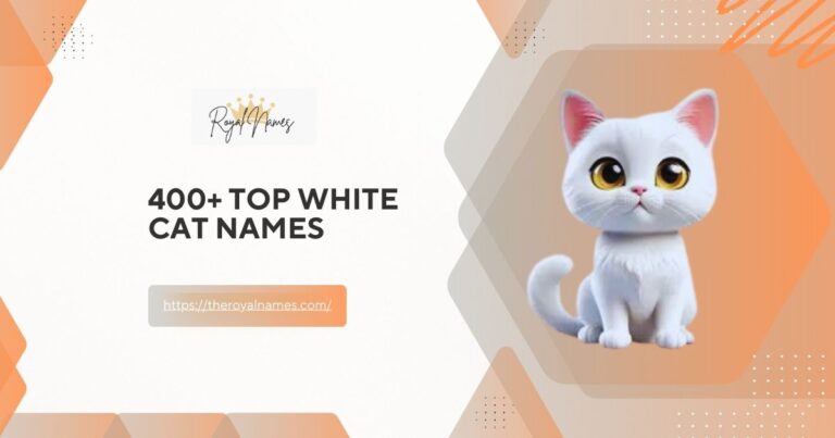 White Cat Names
