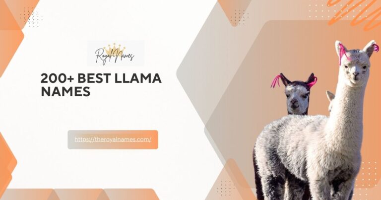 200+ Best Llama Names: Cute and Funny