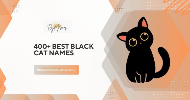 Black Cat Names