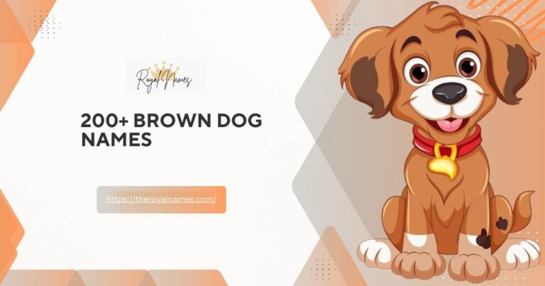 Brown Dog Names