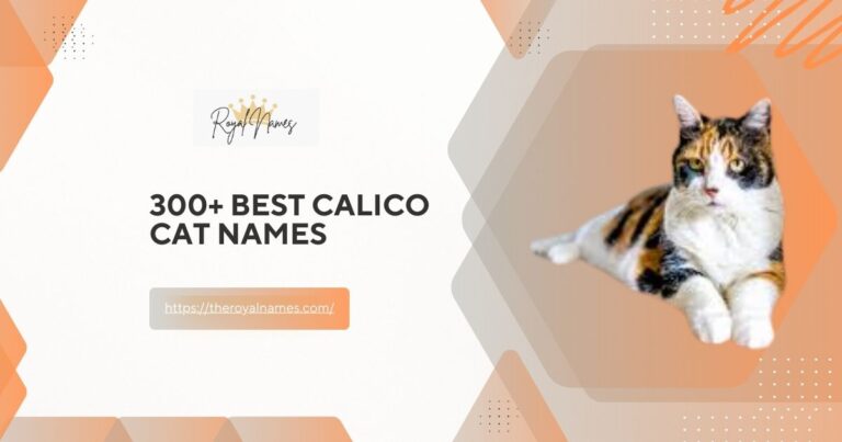 Calico Cat Names