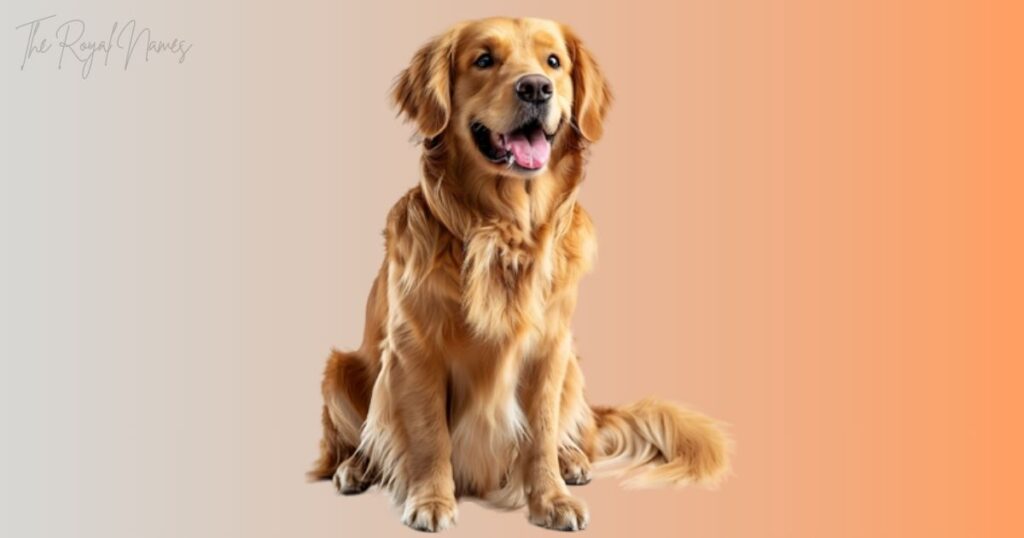 Good Brown Dog Names 