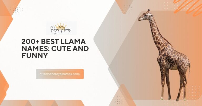 200+ Best Llama Names: Cute and Funny