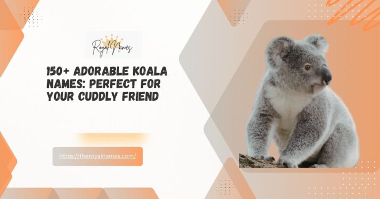 Adorable Koala Names