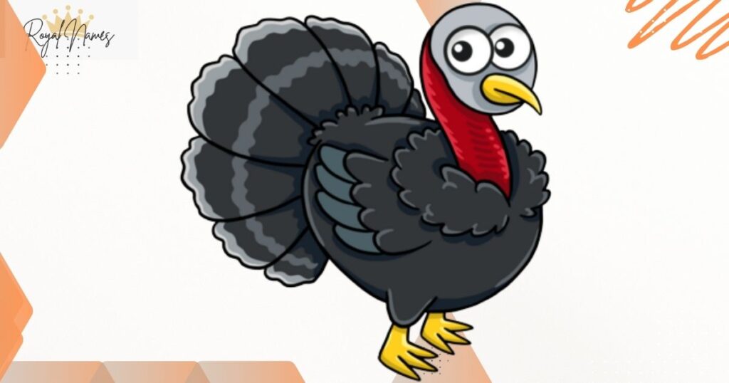 Appearance Based Turkey Names