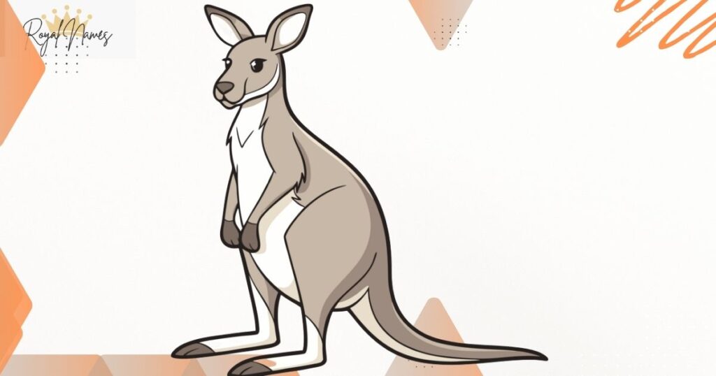 Catchy Kangaroo Names
