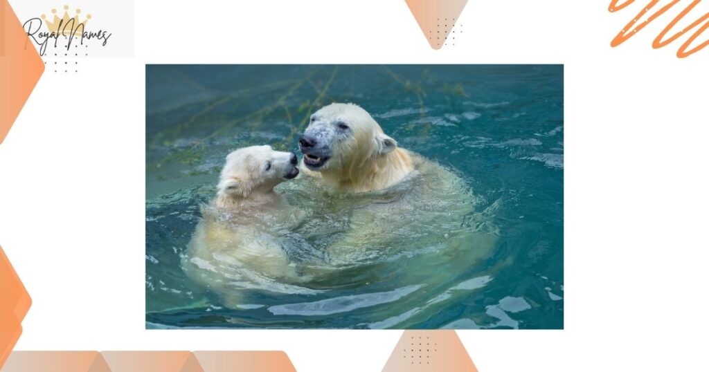 Cool Polar Bear Names