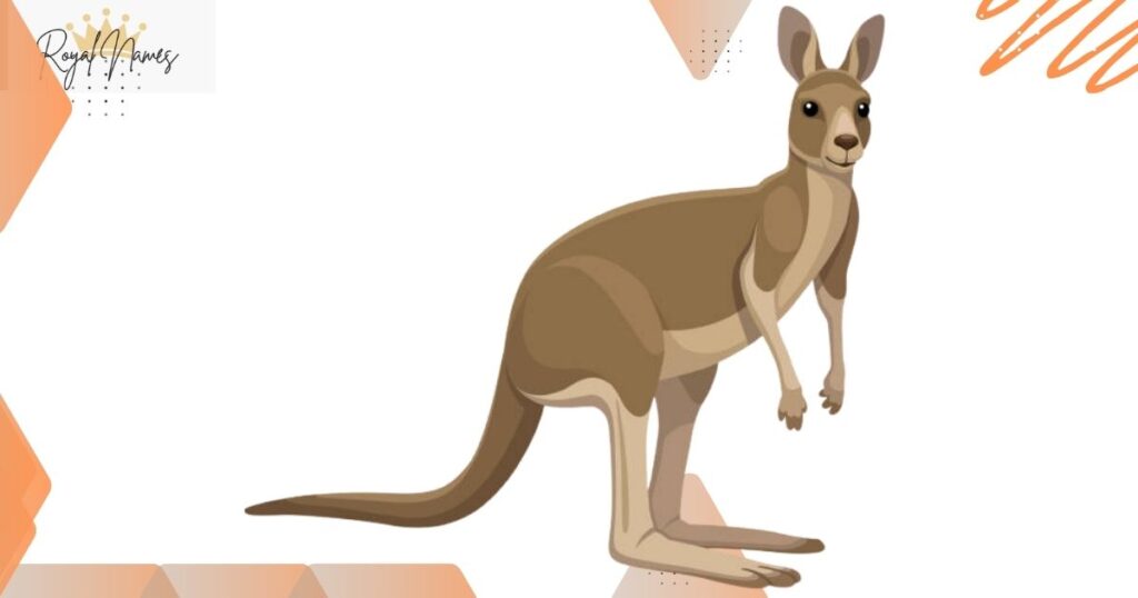 Famous Kangaroo Names