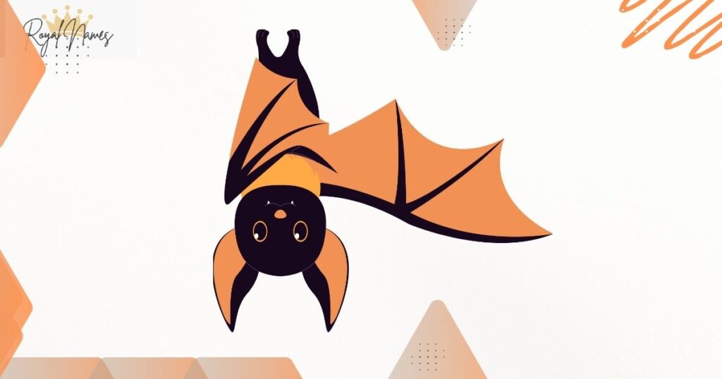 Funny Bat Names