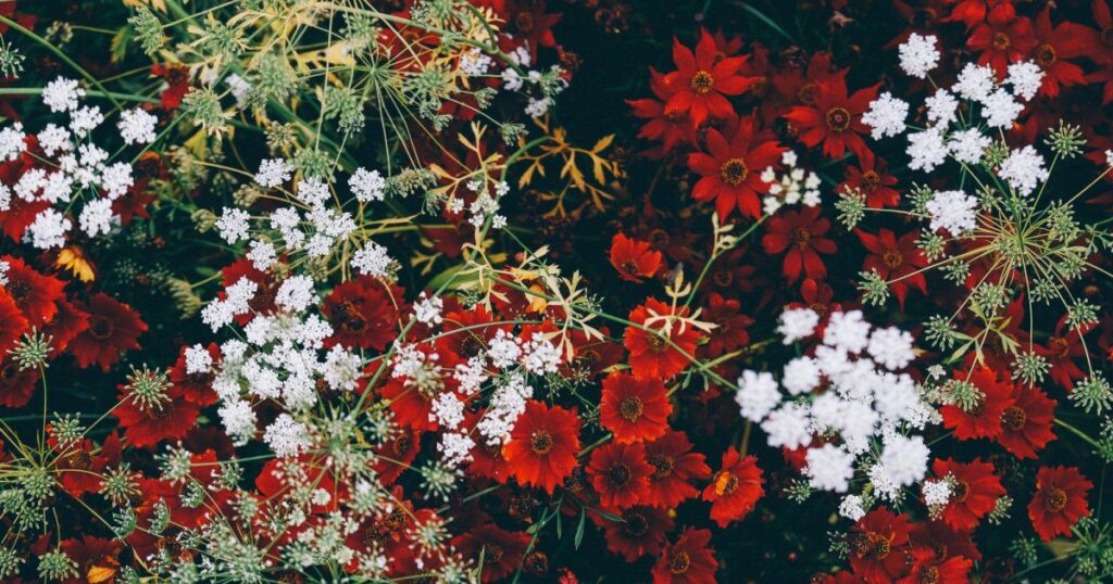 Japanese Girl Names Meaning Flower