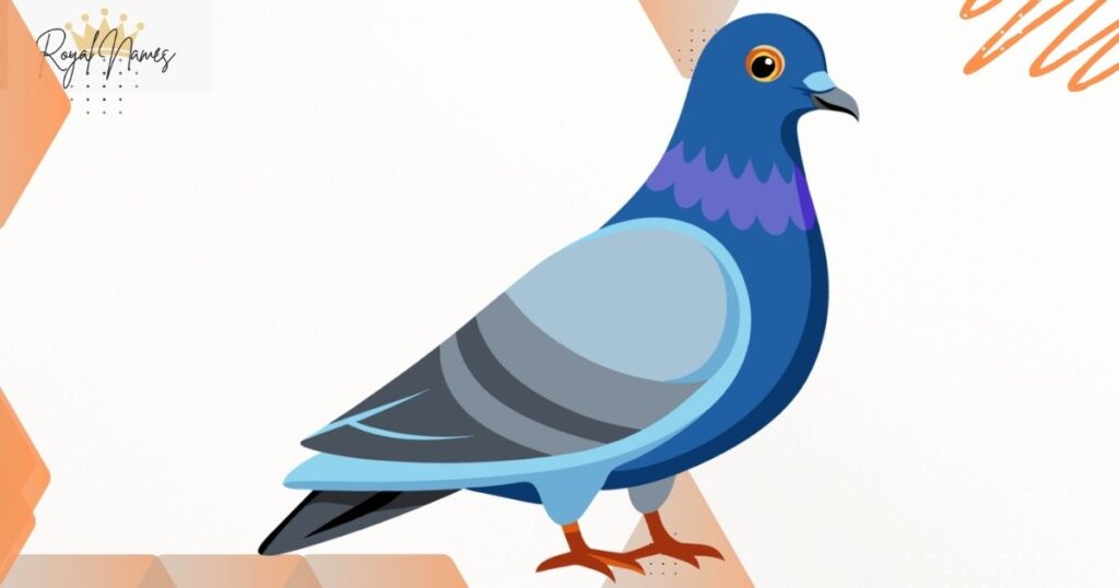 Male Pigeon Names