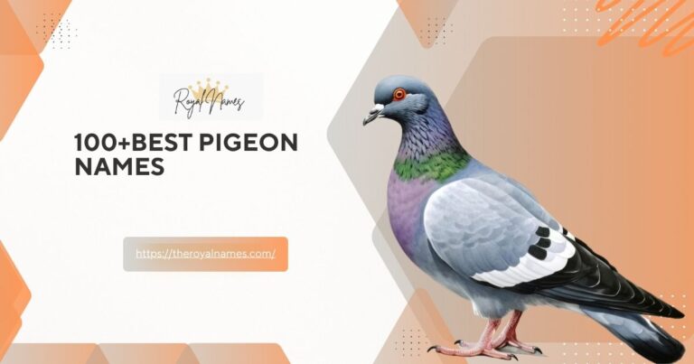 Pigeon Names