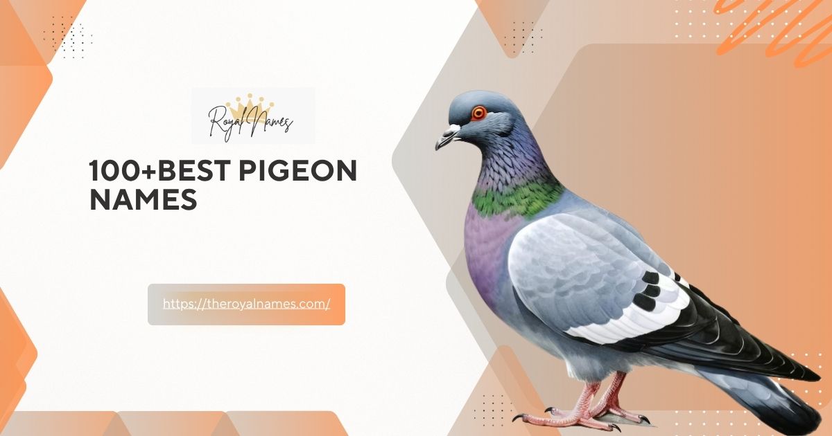 Pigeon Names