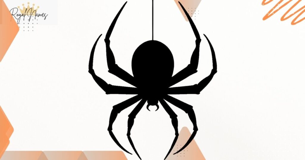 Spider Names Pet