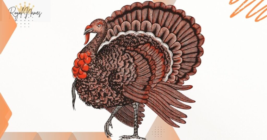 Turkey Names with Meaning