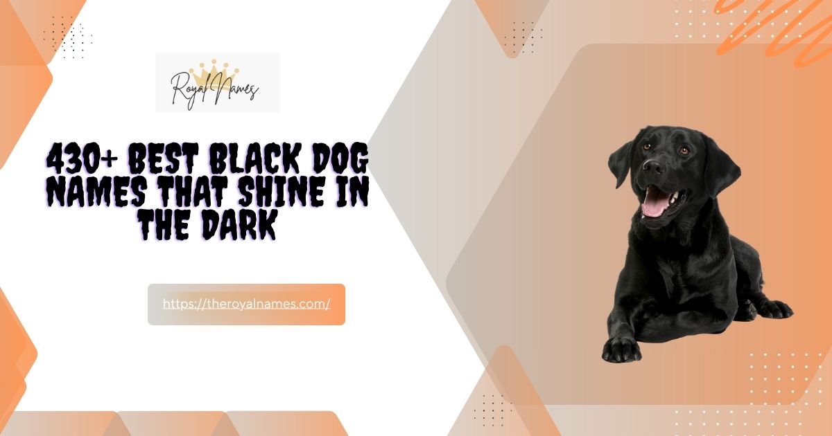 Black Dog Names