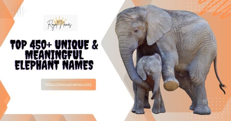 Elephant Names
